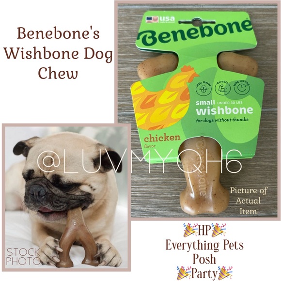 Benebone Other - Benebone Wishbone Dog Chew Toy